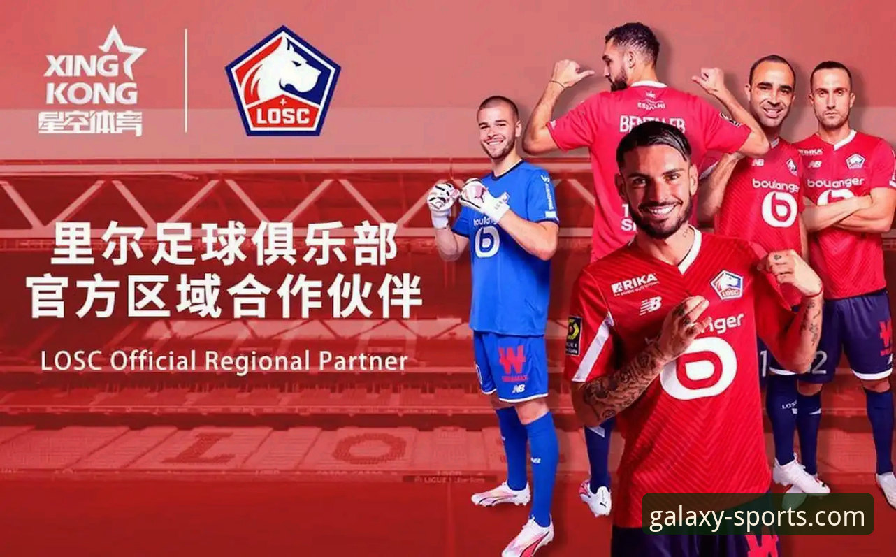 资深分析师拆解：星空体育平台常见问题与实战使用心得